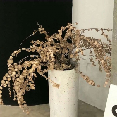 Furry角色比例设计福瑞交流群